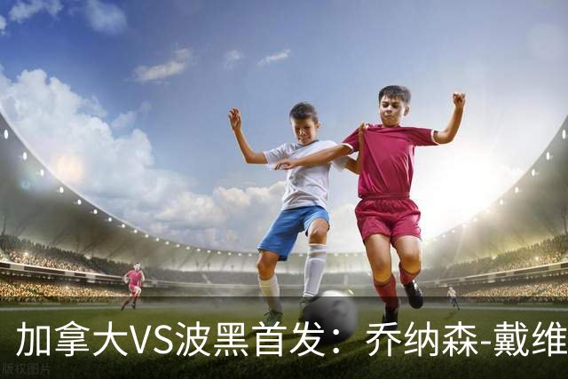 加拿大VS波黑首发：乔纳森-戴维出战 哲科稳坐替补席